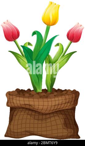 Schöne Blume in braunen Tasche auf weißem Hintergrund Illustration Stock Vektor