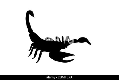 Silhouette des Skorpions auf weißem Hintergrund Stockfoto