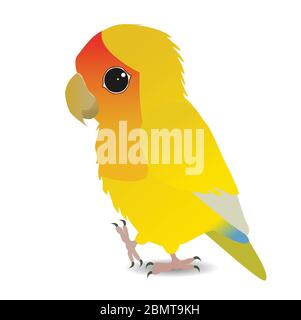 Eine Vektorgrafik eines niedlichen gelben Pfirsich konfrontiert lovebird Stock Vektor