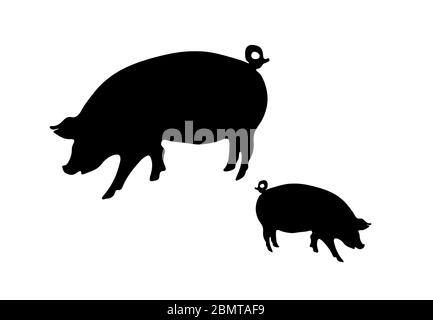 Pig Silhouette Auf Weißem Hintergrund Stockfoto