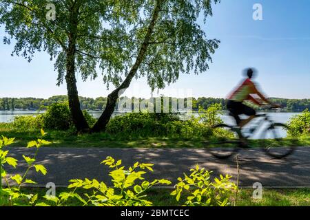 Radtour auf der Ruhr, Seenpfad am Baldeney See in Essen, NRW, Deutschland Stockfoto