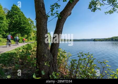 Radtour auf der Ruhr, Seenpfad am Baldeney See in Essen, NRW, Deutschland Stockfoto