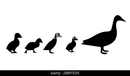 Silhouette der Gans auf weißem Hintergrund Stockfoto