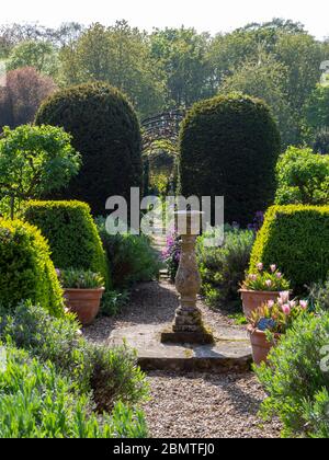 Sonnenuhr Pfad mit topiary führt in die Bögen Kletterpflanze Spaziergang im Chenies Manor Garten im Frühjahr.Portrait Aspekt. Stockfoto