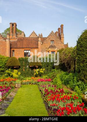 Chenies Manor versunkener Garten mit bunten Tulpen-Sorten, Blick auf das Tudor Manor Haus im April. Ein Festival der Frühlingsbirnen. Stockfoto