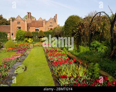 Chenies Manor versunkener Garten mit bunten Tulpen-Sorten, Blick auf das Tudor Manor Haus im April; eine Treppe zeigt Gartenarbeit im Gange. Stockfoto