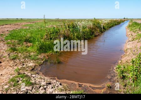 Drainage Graben auf zurückgewonnenen Feuchtgebieten an der Ostküste der Wash in West Norfolk. Stockfoto