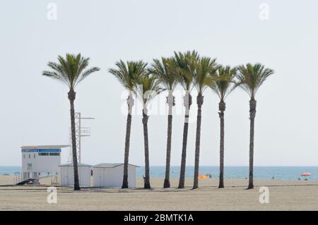Oase einer großen Gruppe von Palmen am Strand von Roquetas de Mar. 14. August 2019. Roquetas de Mar Almeria. Spanien. Reisen Tourismus Feiertage Stockfoto