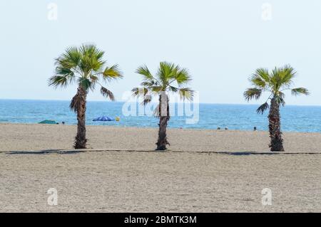 Drei Palms Oase am Strand von Roquetas de Mar. 14. August 2019. Roquetas de Mar Almeria. Spanien. Reisen Tourismus Feiertage Stockfoto