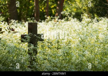 Altes Steinkreuz oder Kruzifix auf einem Friedhof mit wilden Blumen. Kopierbereich. Stockfoto