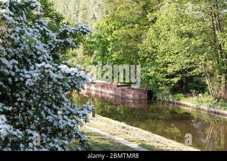 Stahlkohlebarge in der Nähe von Lowsonford, Straford-upon-Avon-Kanal, Warwickshire Stockfoto