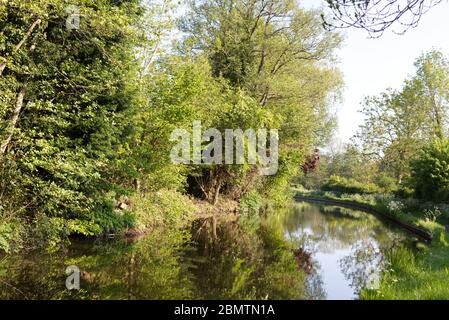 Lowsonford, Straford upon Avon Canal, Warwickshire Stockfoto