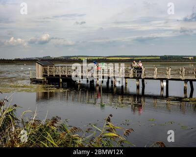 Steg zum Federsee, Naturschutzgebiet, Bad Buchau, Oberschwaben, Baden-Württemberg, Deutschland Stockfoto