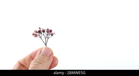Alte Frau, die Blumen in der Hand hält Stockfoto