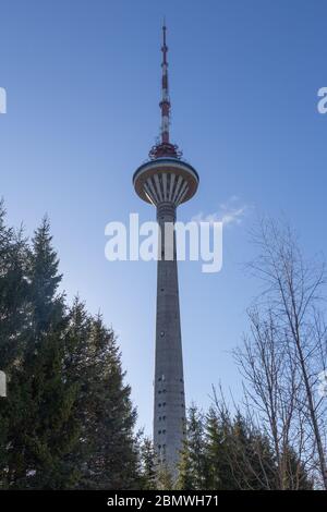 Tallinn Fernsehturm im Frühling Sonnenschein Stockfoto