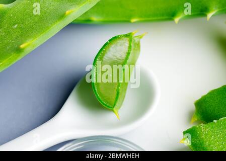 Frische Aloe Vera Blätter und Scheiben auf einem Keramiklöffel auf einem hellgrauen Hintergrund, kopieren Raum. Natürliche Inhaltsstoffe für Gesundheit und Kosmetik. Draufsicht. Stockfoto