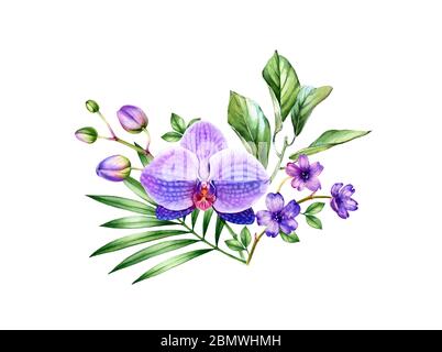 Aquarell tropische Blumen. Violette Orchidee und Palmblätter im Bouquet. Handgemalter tropischer Hintergrund. Botanische Illustrationen isoliert auf weiß Stockfoto