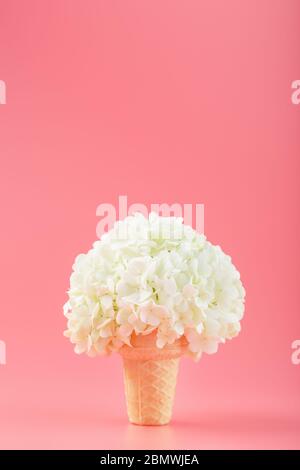Ein Strauß weißer Blüten in einem Eiskegel auf einem rosa Hintergrund. Minimales Konzept. Stockfoto
