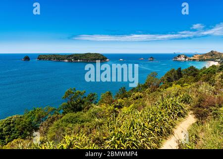 Blick auf Gemstone Bay während eines Spaziergängen zur Cathedral Cove in Neuseeland Stockfoto