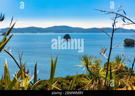 Blick auf Gemstone Bay während eines Spaziergängen zur Cathedral Cove in Neuseeland Stockfoto