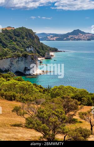 Blick auf Gemstone Bay während eines Spaziergänger zur Cathedral Cove (in der Ferne zu sehen) in Neuseeland Stockfoto