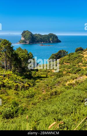 Blick auf Gemstone Bay während eines Spaziergängen zur Cathedral Cove in Neuseeland Stockfoto