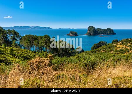 Blick auf Gemstone Bay während eines Spaziergängen zur Cathedral Cove in Neuseeland Stockfoto