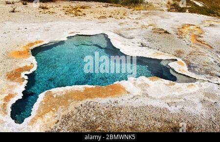 Blue Star Hot Spring, in der Nähe von Old Faithful, Yellowstone National Park, Wyoming, USA Stockfoto