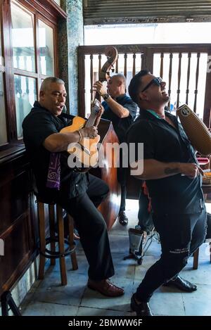 Die Band spielt traditionelle kubanische Musik in der berühmten Bodeguita del Medio, einer Bar, die von Ernst Hemingway, Altstadt, Havanna Vieja, Havanna, C frequentiert wird Stockfoto