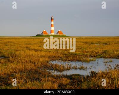 Salzwiesen, Leuchtturm Westerheversand, Nationalpark Wattenmeer, UNESCO Weltnaturerbe, Schleswig-Holstein, Deutschland Stockfoto