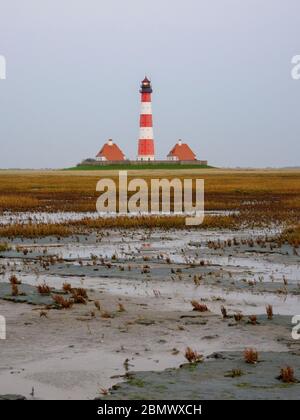 Salzwiesen, Leuchtturm Westerheversand, Nationalpark Wattenmeer, UNESCO Weltnaturerbe, Schleswig-Holstein, Deutschland Stockfoto