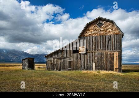 Mormon Roe, großer Teton-Nationalpark, Wyoming, USA Stockfoto