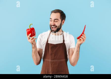 Fröhlicher junger bärtiger Mann mit Schürze, der isoliert auf blauem Hintergrund steht, rote Paprika hält und kühl Stockfoto