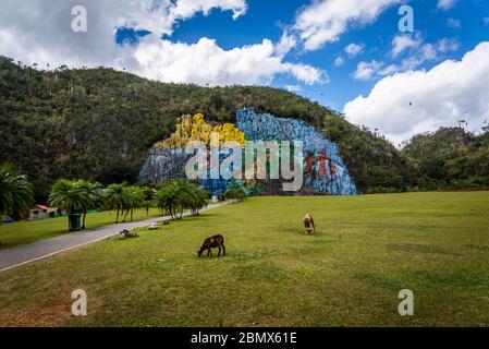 Wandgemälde der Vorgeschichte, in der Mogote genannt Pita und wurde von Fidel Castro, Vinales Valley, Kuba beauftragt Stockfoto