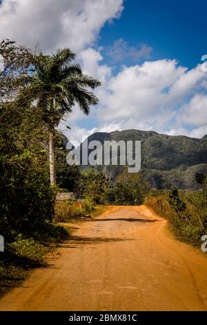 Red Earth Dirt Road im Vinales Valley, bekannt für seine einzigartigen Kalksteinfelsen, die Mogotes genannt werden. Kuba Stockfoto