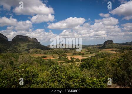 Vinales Tal, bekannt für seine einzigartigen geomorphologischen Kalksteinformationen, die Mogotes genannt werden. Kuba Stockfoto