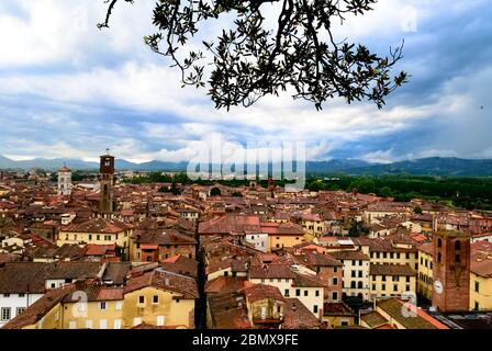 Vom Guinigi-Turm aus gesehen, eine Landschaft aus der Luft, die typisch italienische rote Dächer der mittelalterlichen Stadt Lucca in der Toskana, Italien Stockfoto