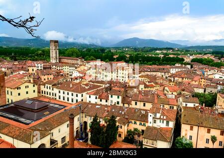 Vom Guinigi-Turm aus gesehen, eine Landschaft aus der Luft, die typisch italienische rote Dächer der mittelalterlichen Stadt Lucca in der Toskana, Italien Stockfoto