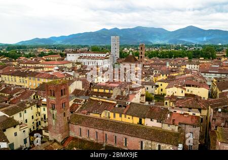 Vom Guinigi-Turm aus kann man die typischen roten Dächer der mittelalterlichen Stadt Lucca in der Toskana bei einem regnerischen Tag aus der Luft sehen Stockfoto