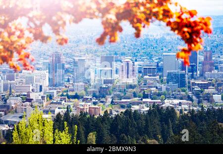 Blick auf Portland Downtown vom Hügel des Parks mit brennenden, leuchtend orangen Herbstblättern im Vordergrund Stockfoto