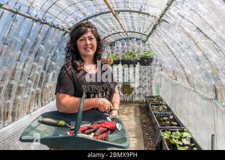 Kilwinning, Großbritannien. 11 Mai 2020. DEE WRIGHT aus Kilwinning, Ayrshire, hat gerade ein 15-monatiges Projekt zum Bau eines Treibhauses für ihr Grundstück auf Eglinton-Grundstücksplatzgebieten abgeschlossen. Das 1.5 Meter breite, 3.5 Meter lange und 2.2 Meter hohe Treibhaus wurde aus 3227 recycelten, ausrangierten Plastikflaschen gebaut, die meist vom Strand abgeholt und von Freunden und Familie gespendet wurden. Das Dachdesign erlaubt Regenwasser kontrolliert durch, wodurch die Notwendigkeit für Bewässerung und die unteren Wände sind doppelt isoliert mit geborgten Luftpolsterfolie hilft, Wärme zu halten Kredit: Findlay / Alamy Stockfoto