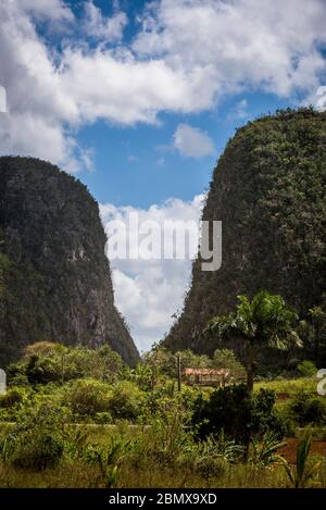 Mogotes Dos Hermanos, Vinales Valley, Kuba Stockfoto