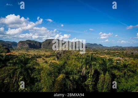 Vinales Tal, bekannt für seine einzigartigen geomorphologischen Kalksteinformationen, die Mogotes genannt werden. Kuba Stockfoto