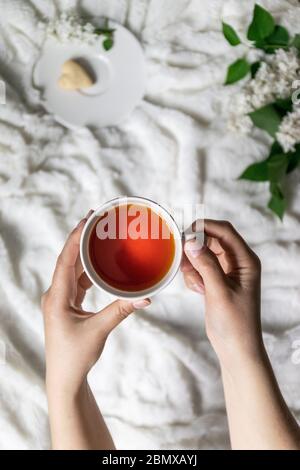 Draufsicht auf weibliche Hände, die eine Tasse mit heißem Tee und Plätzchen auf einem Teller halten. Weiße Zweige lila auf einem karierten, vertikalen Foto Stockfoto