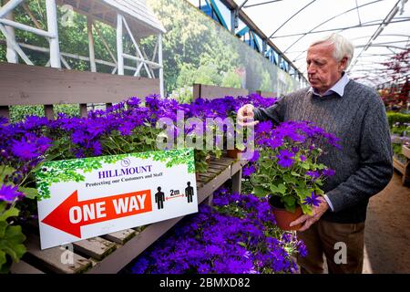 Robin Mercer, Eigentümer von Hillmount Garden Centers, tendiert zu einer Topfpflanze neben einem Schild, das Kunden zu sozialer Distanz in seinem Zentrum in Belfast am Stadtrand berät. Herr Mercer hofft, dass Stormont die Sperrung des Coronavirus lockern und der Öffentlichkeit ab Mittwoch den Besuch von Gartencentern ermöglichen wird. Stockfoto