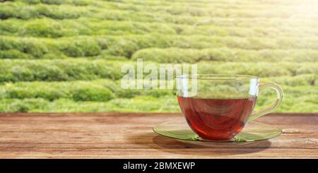 3D-Illustration einer Tasse Tee auf einem braunen Holztisch mit natürlichem grünen Teefeld Hintergrund. Strukturiertes Hintergrundbild Stockfoto