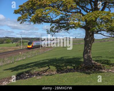 Virgin Trains Alstom Pendolino Zug 390128 durch die Landschaft bei Shap Wells, auf der Westküste Hauptlinie in Cumbria Stockfoto