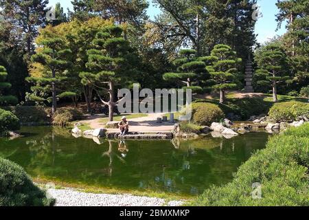 Fischbeobachtung in einem Teich im Nordpark in Düsseldorf, Deutschland Stockfoto