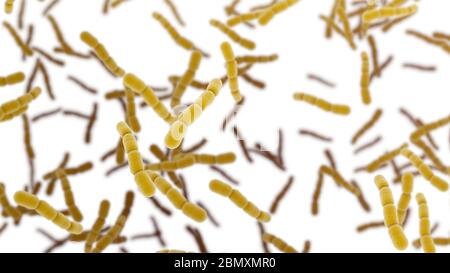 Streptococcus pneumonia Zellen, isoliert auf weißem Hintergrund. 3D-Darstellung Stockfoto