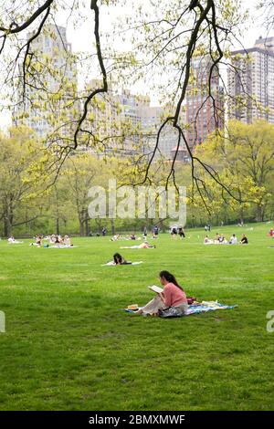 Lesen eines Buches auf dem Rasen in Sheep Meadow, Central Park, New York City. Stockfoto